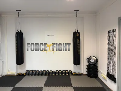 Studio Force&Fight